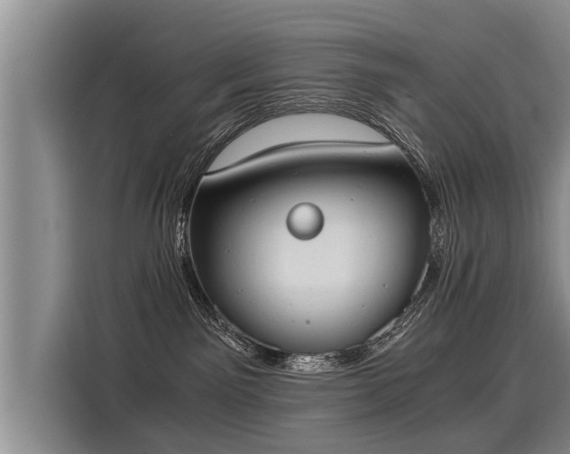 X0000116020141200911271123