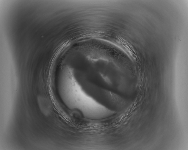 X0000116020145200911271123