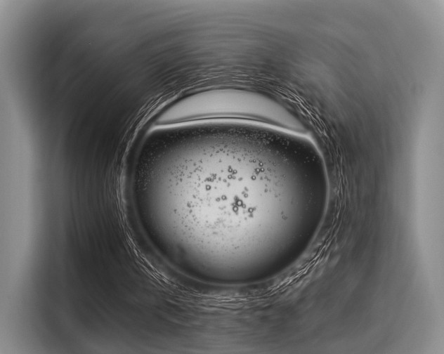 X0000116020146200911271123