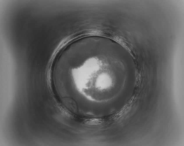 X0000116020151200911271123