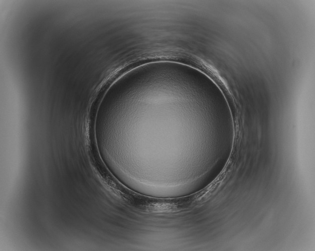 X0000116020154200911271123