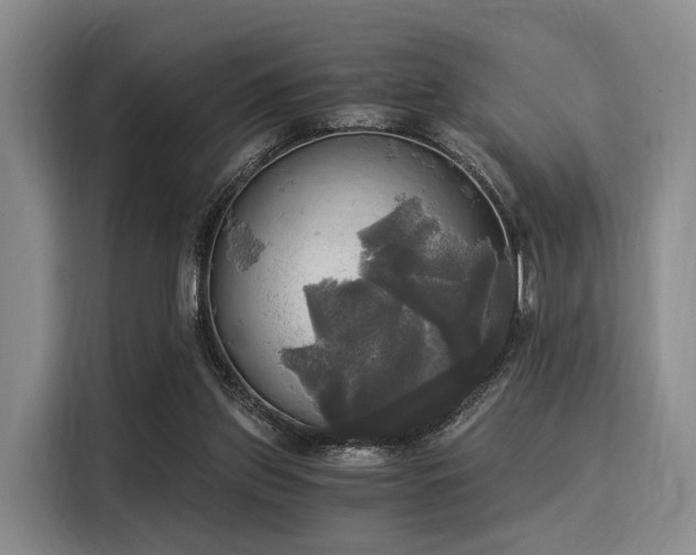 X0000116020157200911271123