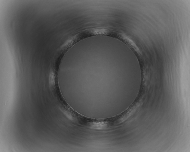 X0000116020161200911271123