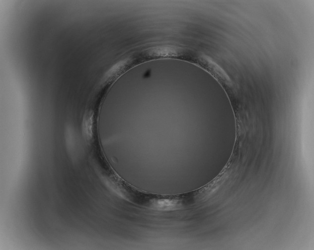 X0000116020163200911271123