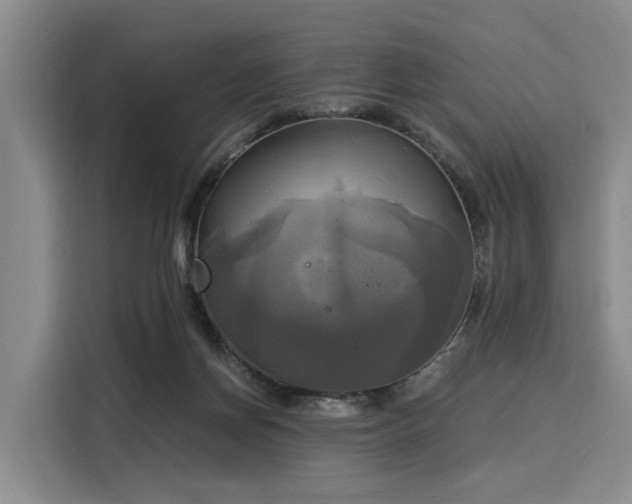 X0000116020166200911271123