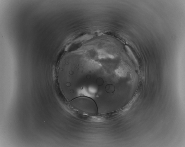 X0000116020167200911271123