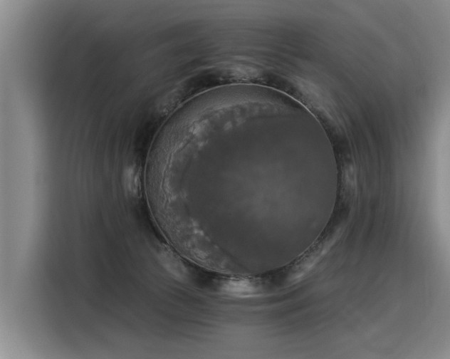 X0000116020177200911271123