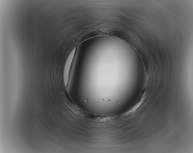 X0000116020186200911271123