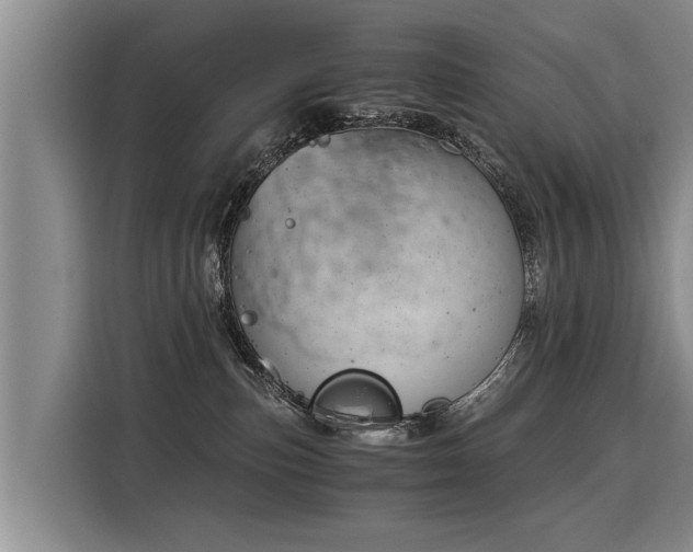 X0000116020187200911271123