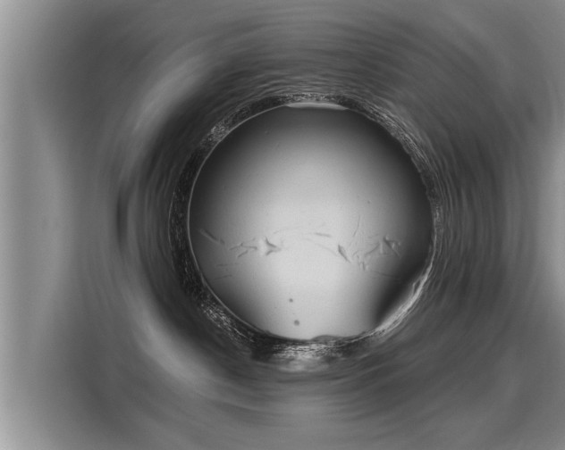 X0000116020190200911271123