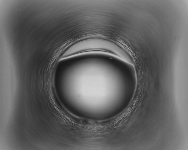 X0000116020193200911271123