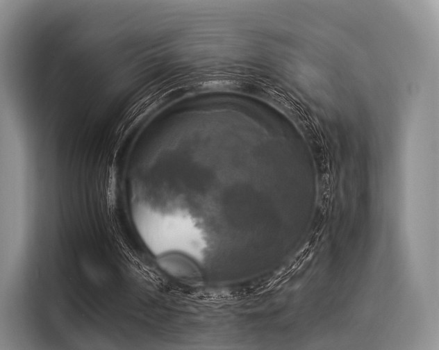 X0000116020194200911271123