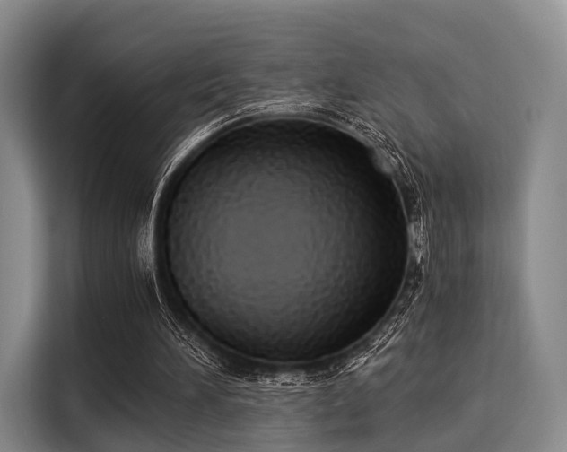 X0000116020196200911271123