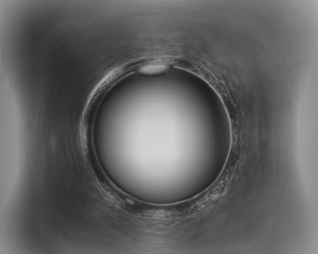 X0000116020197200911271123