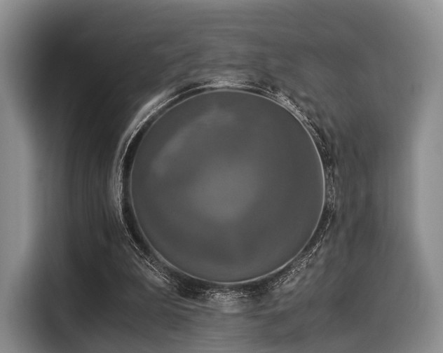 X0000116020199200911271123