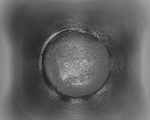 X0000116020200200911271123
