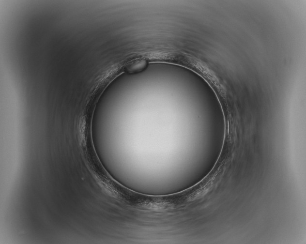 X0000116020201200911271122