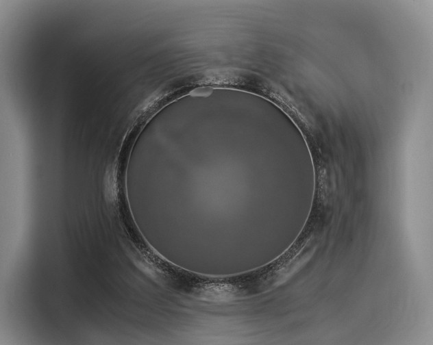 X0000116020203200911271122