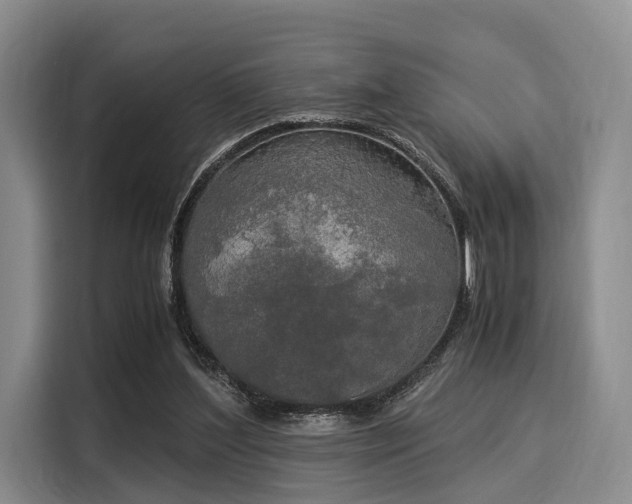 X0000116020204200911271122