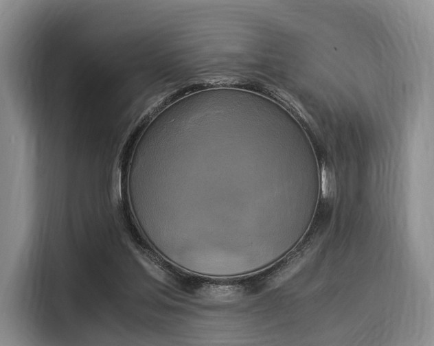 X0000116020205200911271122