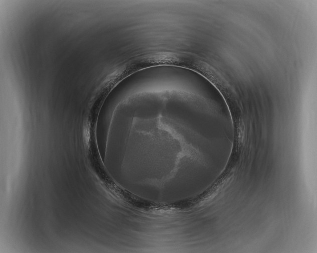 X0000116020206200911271122