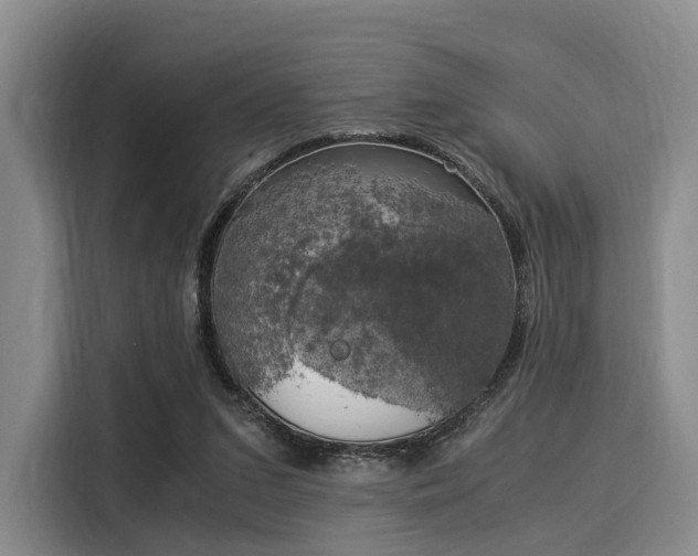 X0000116020207200911271122