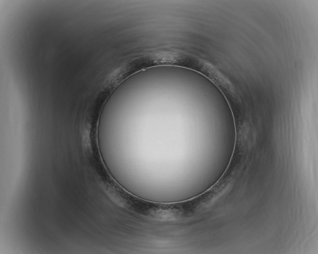 X0000116020209200911271122