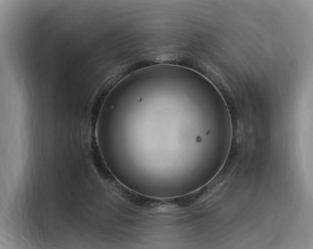 X0000116020210200911271122