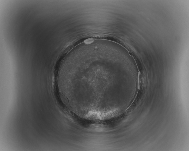 X0000116020211200911271122