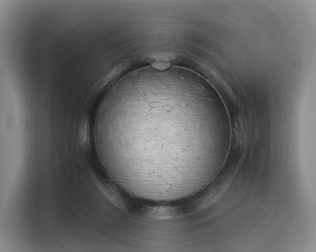 X0000116020212200911271122