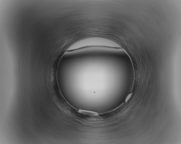 X0000116020215200911271122