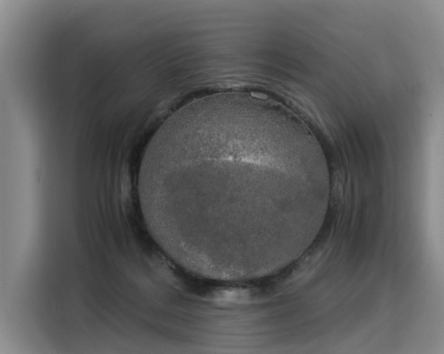 X0000116020220200911271122