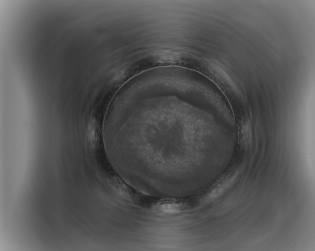 X0000116020228200911271122