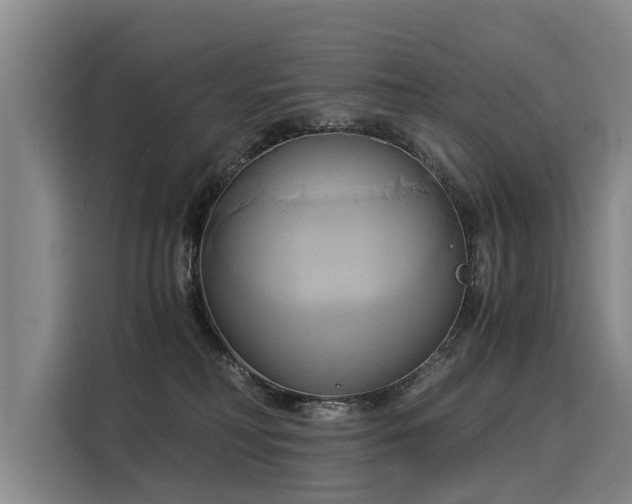 X0000116020230200911271122