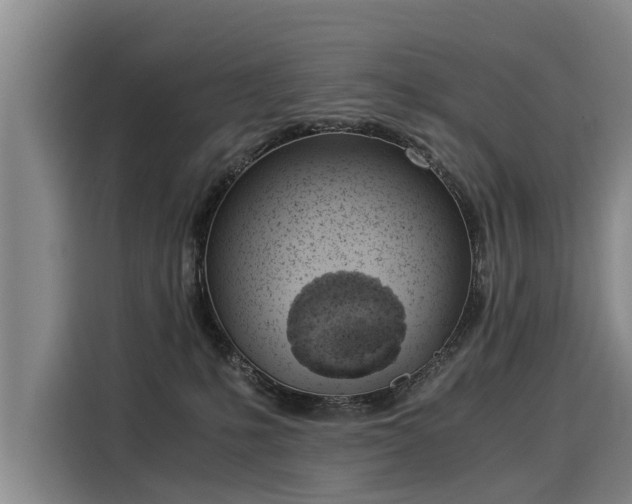 X0000116020231200911271122