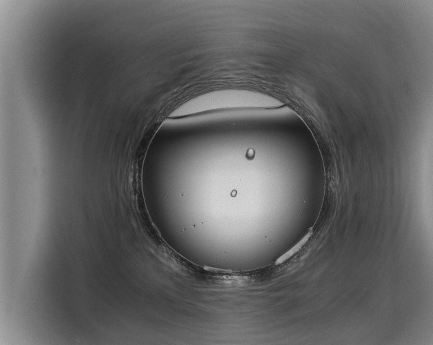 X0000116020233200911271122