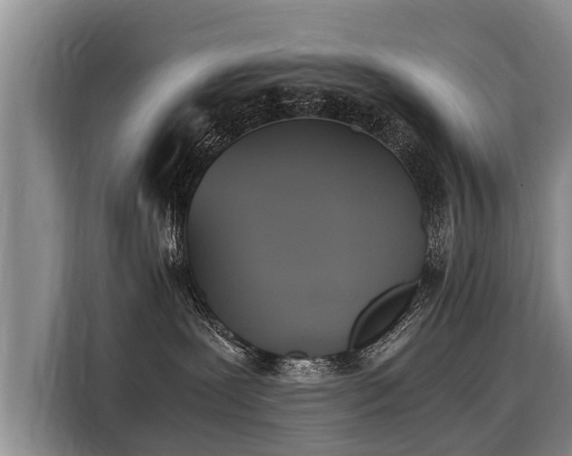 X0000116020239200911271122