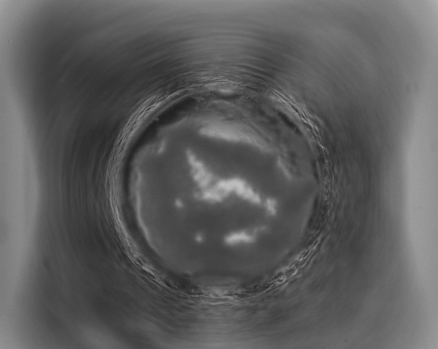 X0000116020241200911271121