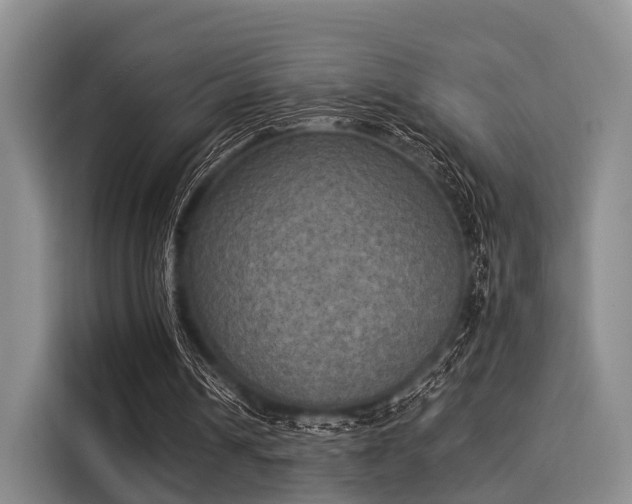 X0000116020242200911271121