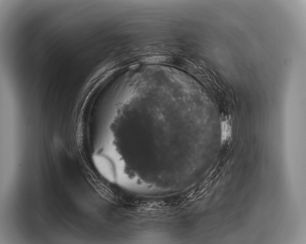 X0000116020243200911271121