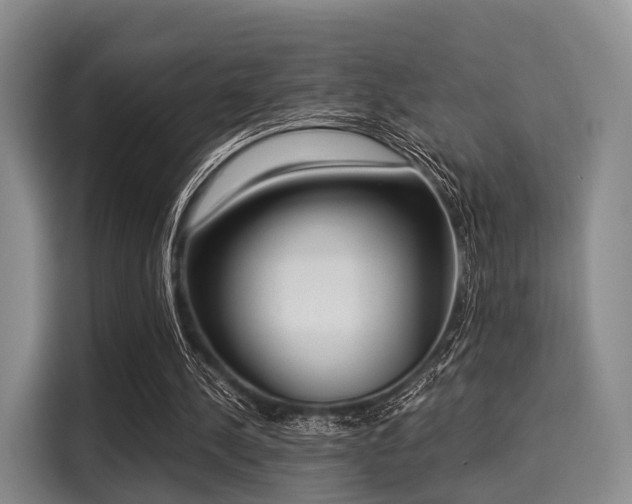 X0000116020244200911271121