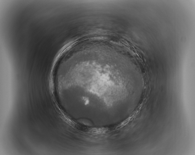 X0000116020245200911271121