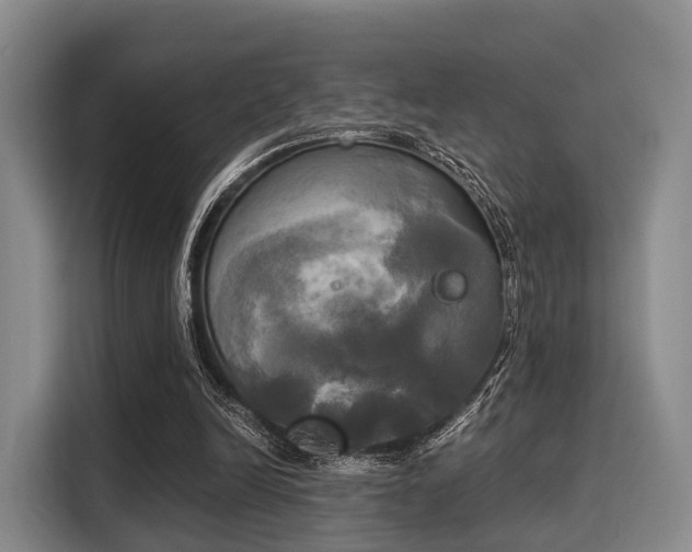 X0000116020246200911271121