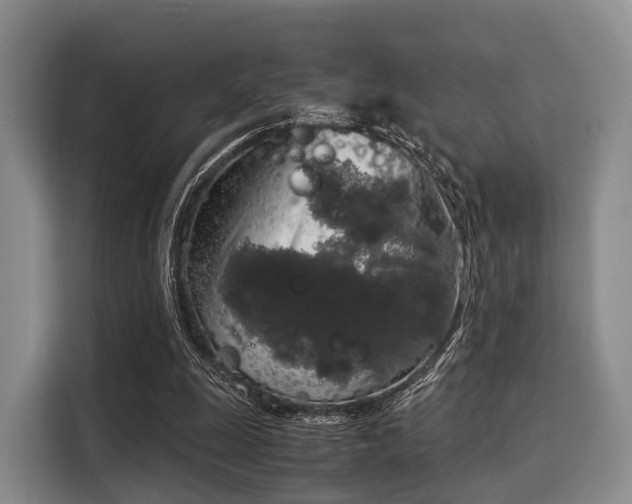 X0000116020247200911271121