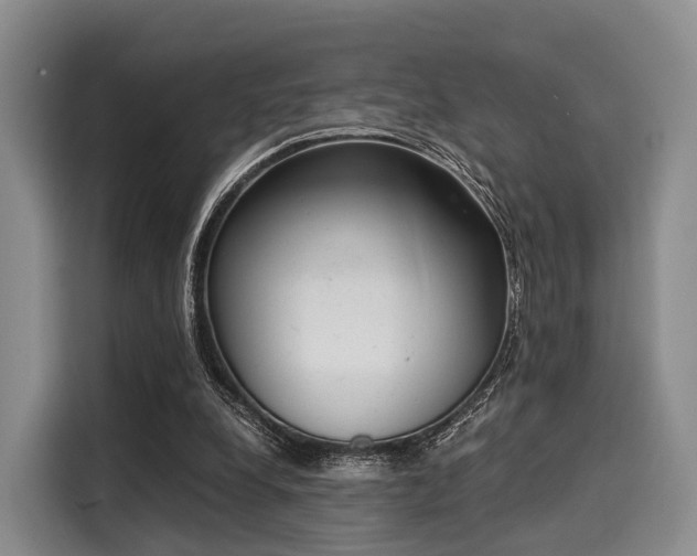 X0000116020248200911271121