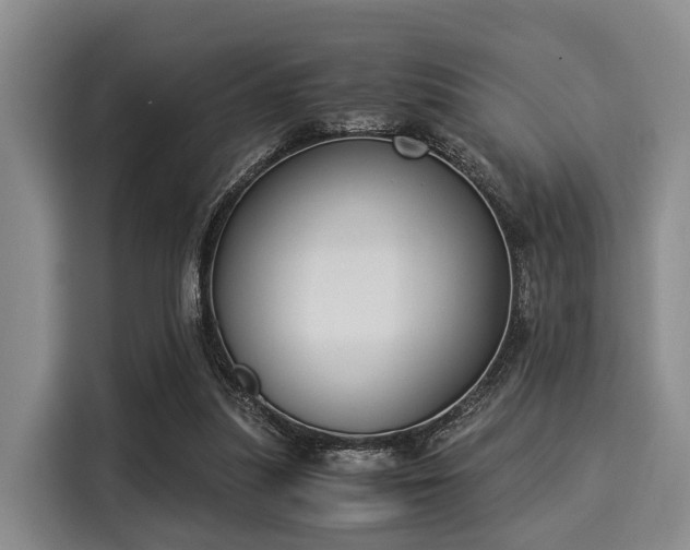 X0000116020251200911271121