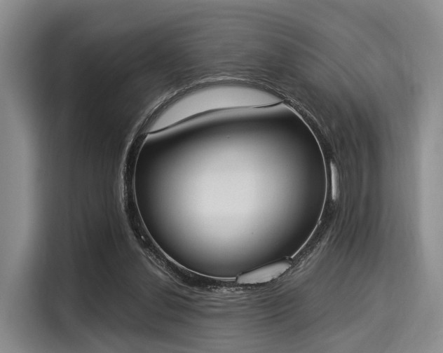 X0000116020252200911271122