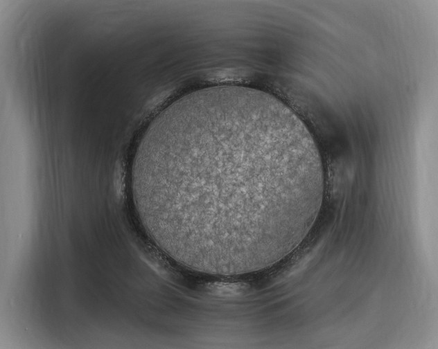 X0000116020255200911271122