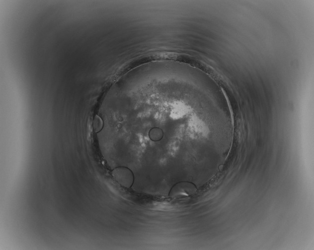 X0000116020259200911271122