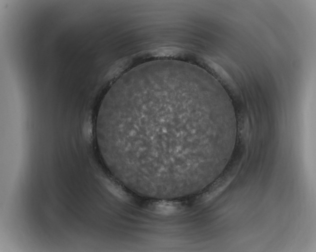 X0000116020261200911271122